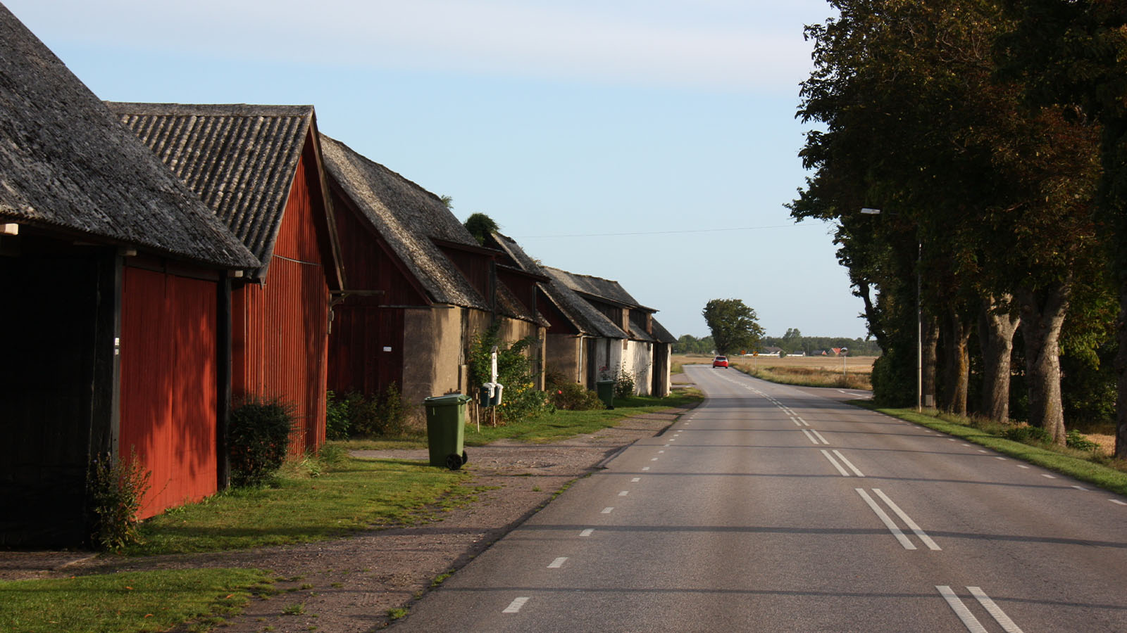 Orkidvandring p land